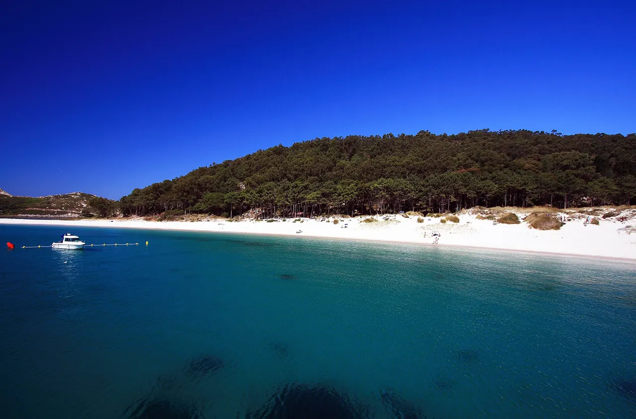 Playa de Rodas en las Islas Cíes (Vigo): arena blanca, pinar detrás y agua turquesa en calma, con una lancha fondeada