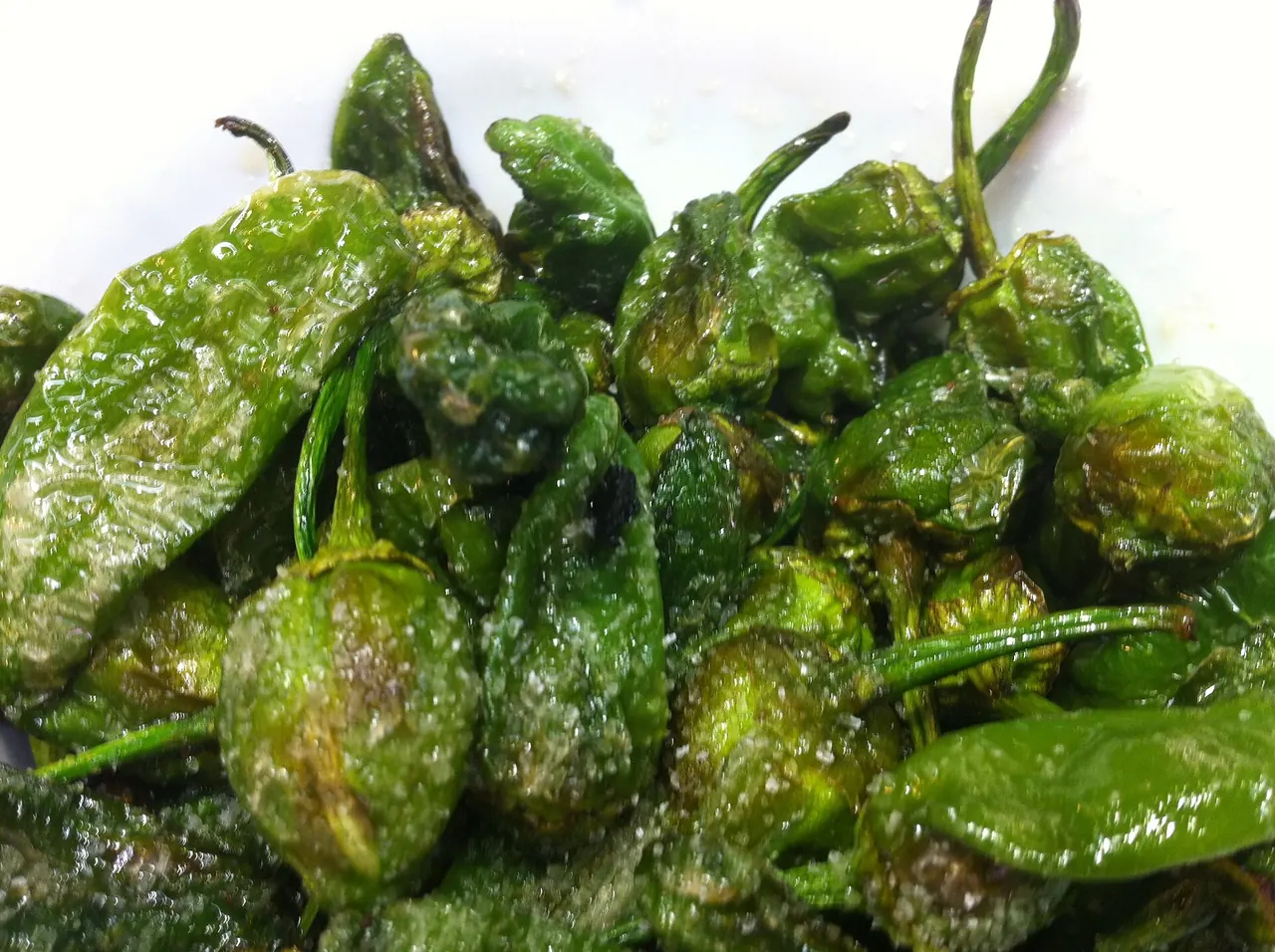 Plato de pimientos de Padrón fritos, verdes y con sal gruesa