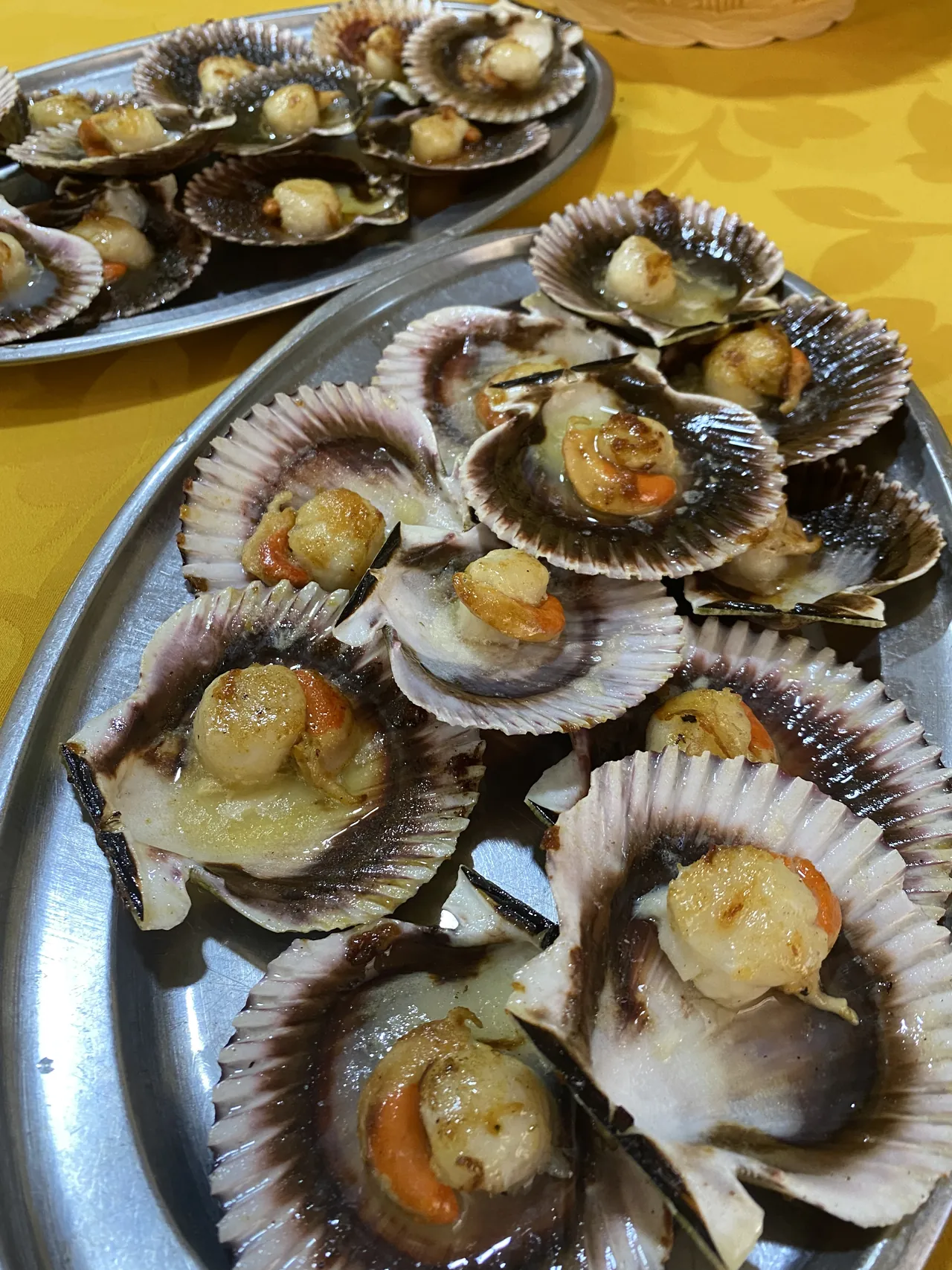 Marisco servido en sus conchas sobre bandejas en El Bosque