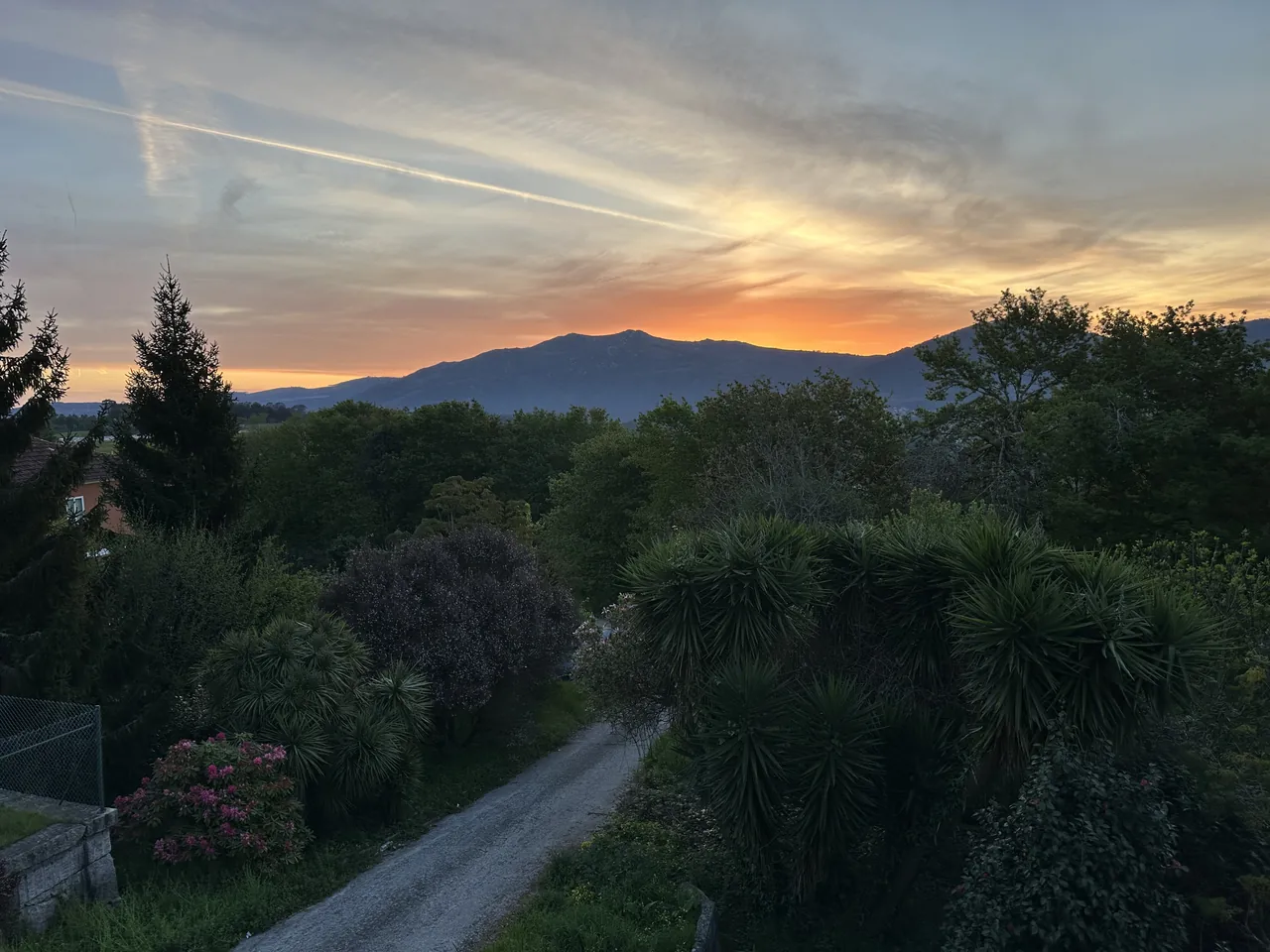 Árboles y montañas al atardecer vistos desde El Bosque