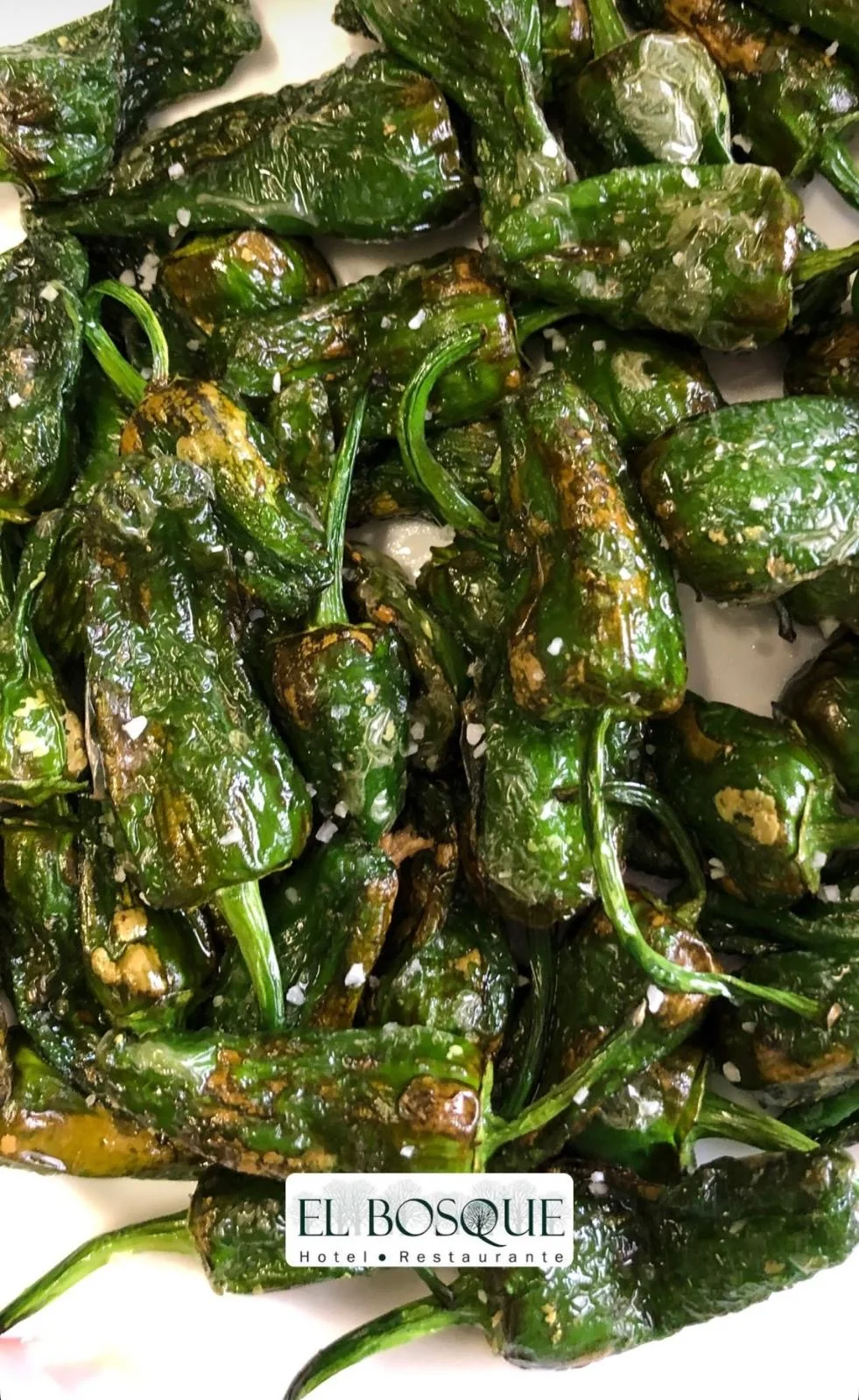 Pimientos verdes cocinados en una fotografía del restaurante El Bosque