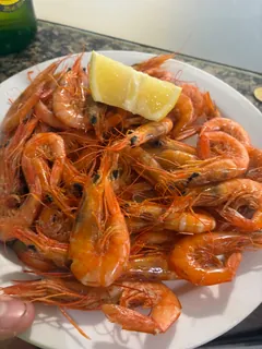 Gambas · El Bosque